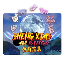 Sheng Xiao Bingo - ADAGAMING168